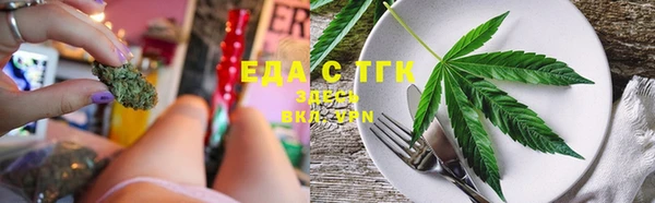 индика Надым