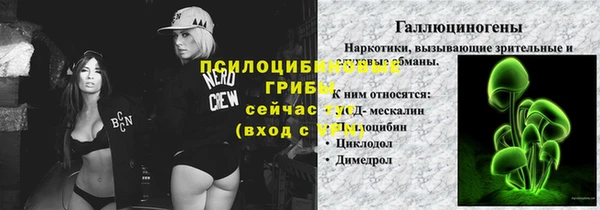 индика Надым