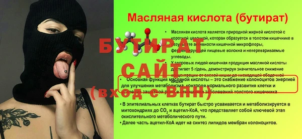 индика Надым