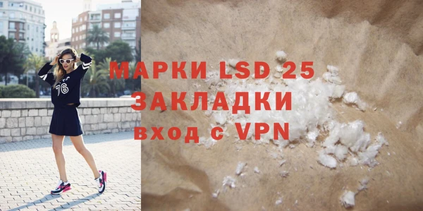 индика Надым