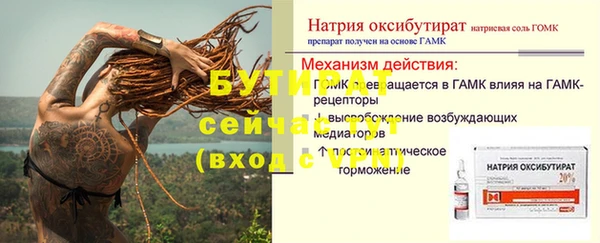 индика Надым