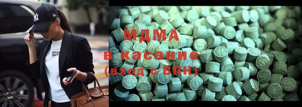 индика Надым